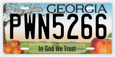GA license plate PWN5266