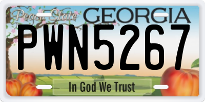 GA license plate PWN5267