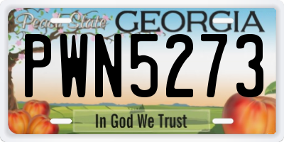 GA license plate PWN5273