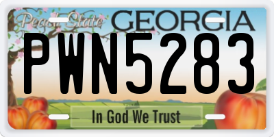 GA license plate PWN5283