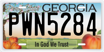 GA license plate PWN5284