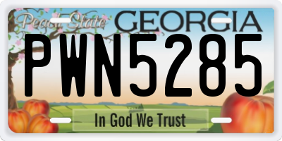 GA license plate PWN5285