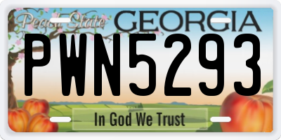GA license plate PWN5293