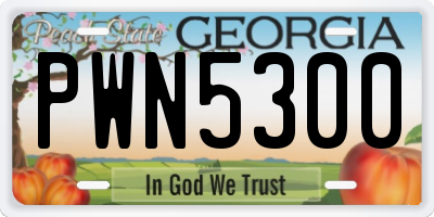 GA license plate PWN5300