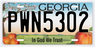 GA license plate PWN5302