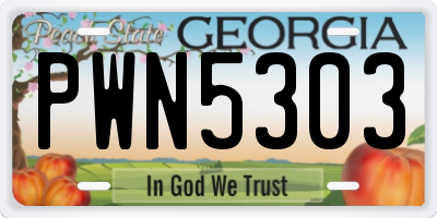 GA license plate PWN5303