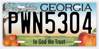 GA license plate PWN5304