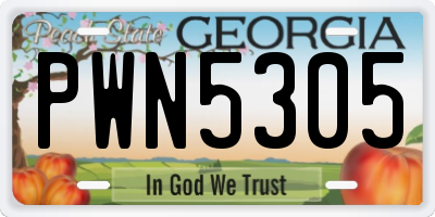 GA license plate PWN5305