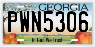 GA license plate PWN5306