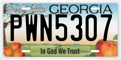GA license plate PWN5307
