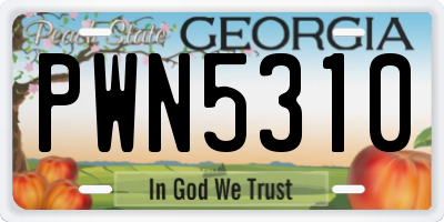 GA license plate PWN5310