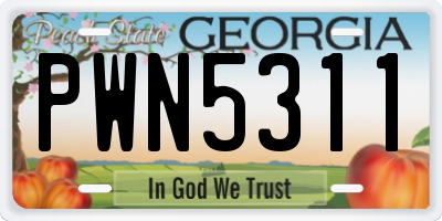 GA license plate PWN5311