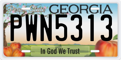 GA license plate PWN5313