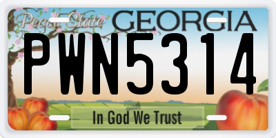 GA license plate PWN5314