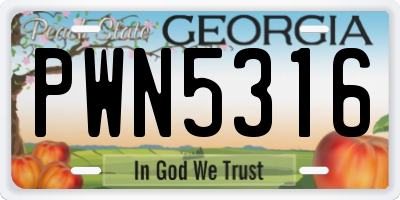 GA license plate PWN5316