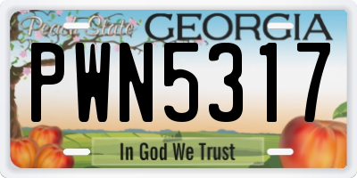 GA license plate PWN5317