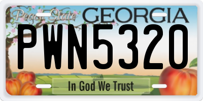 GA license plate PWN5320