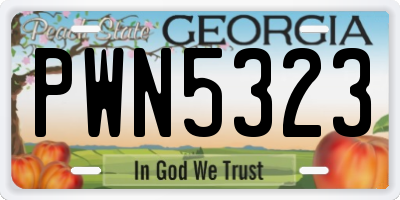GA license plate PWN5323