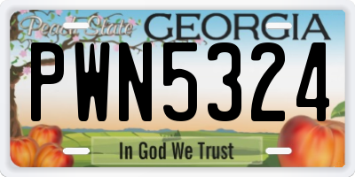 GA license plate PWN5324