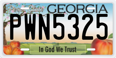 GA license plate PWN5325