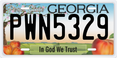 GA license plate PWN5329