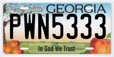 GA license plate PWN5333