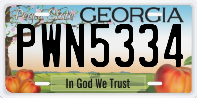 GA license plate PWN5334