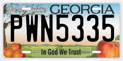 GA license plate PWN5335