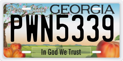 GA license plate PWN5339