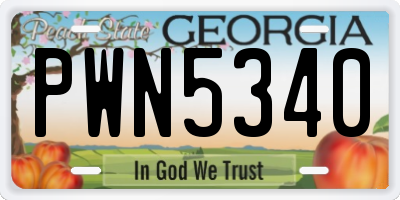GA license plate PWN5340