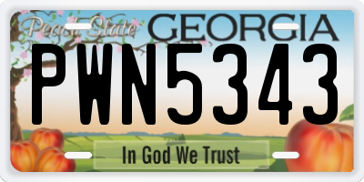 GA license plate PWN5343