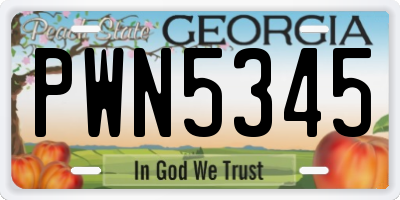 GA license plate PWN5345