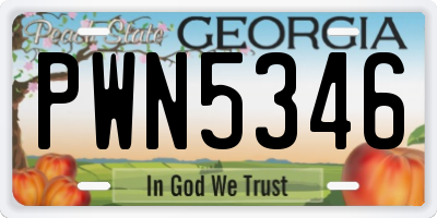 GA license plate PWN5346