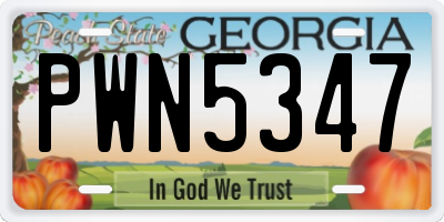 GA license plate PWN5347