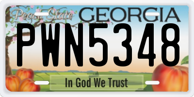 GA license plate PWN5348