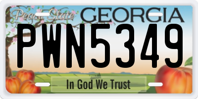 GA license plate PWN5349