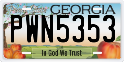 GA license plate PWN5353