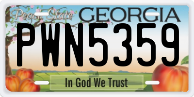 GA license plate PWN5359