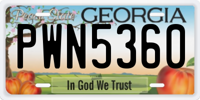 GA license plate PWN5360