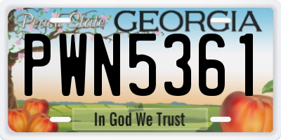 GA license plate PWN5361