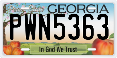 GA license plate PWN5363