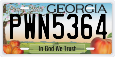 GA license plate PWN5364