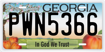 GA license plate PWN5366