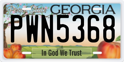 GA license plate PWN5368