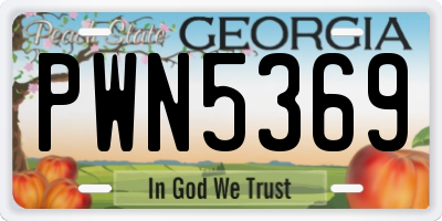 GA license plate PWN5369