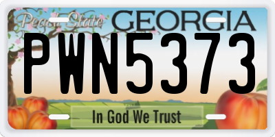 GA license plate PWN5373