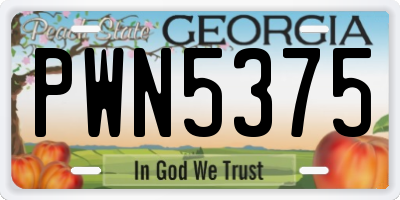 GA license plate PWN5375