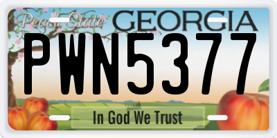 GA license plate PWN5377