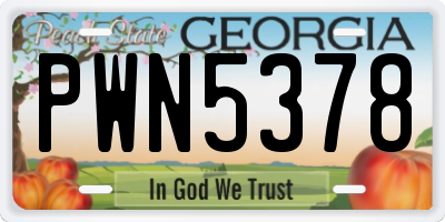 GA license plate PWN5378