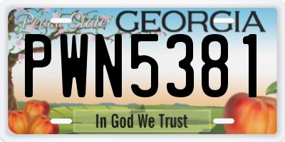 GA license plate PWN5381